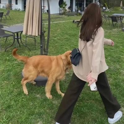 生死谍变
